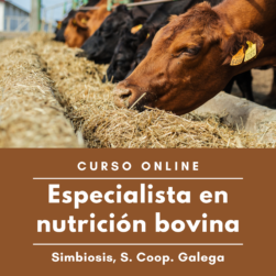 Curso Especialista en nutricion bovina Curso “Especialista en nutrición bovina” (online)
